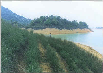 Slope cultivation.jpg