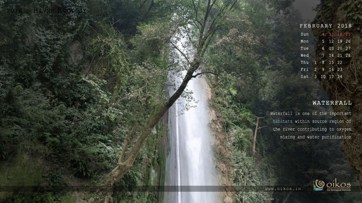 Nadi waterfall.jpg