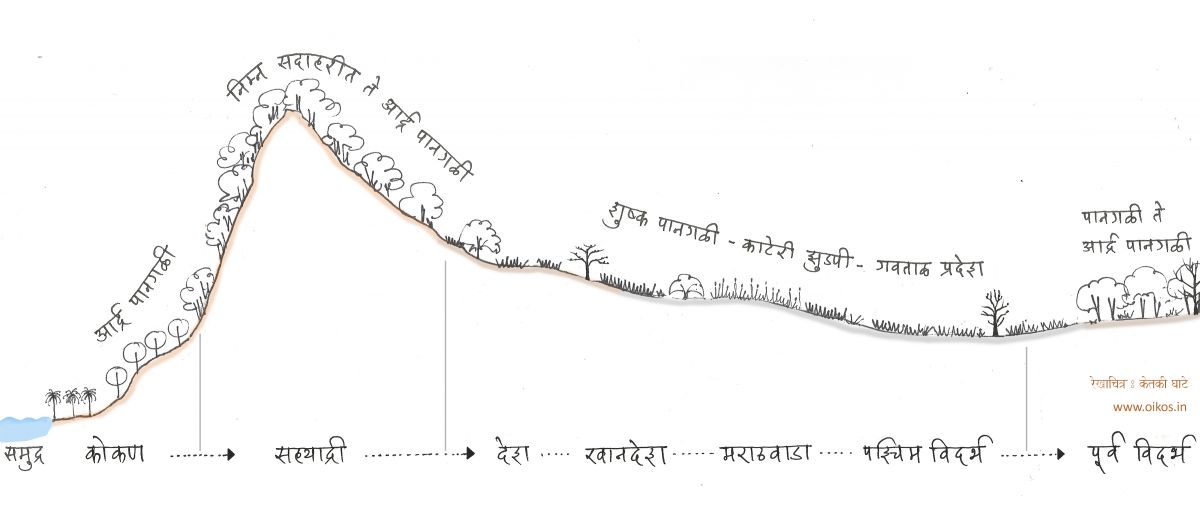 Sketch Maharashtra Vegetation.jpg