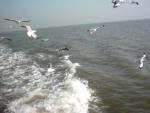 IMG_0027_0.jpg
