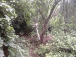 IMG_0048_0.jpg