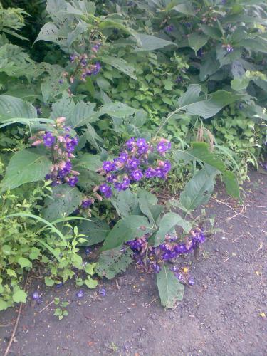 Image021.jpg