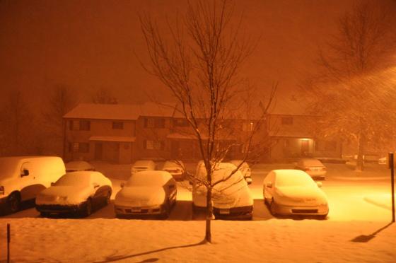DSC_0101.jpg