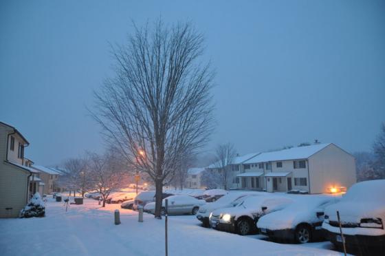 DSC_0118.jpg