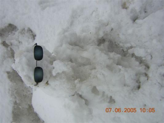 SnowSheep.jpg