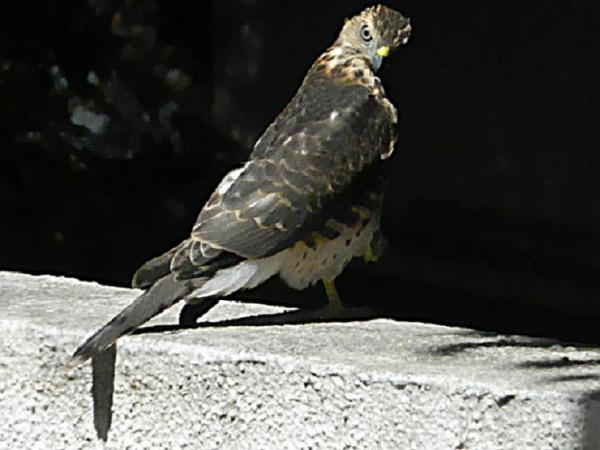 RSCN0076.jpg