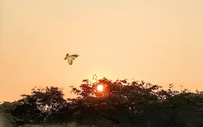 20220111_075729~3.jpg