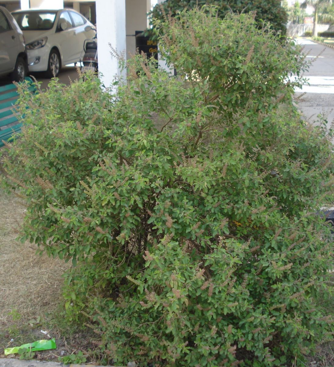 20220902_200339.jpg