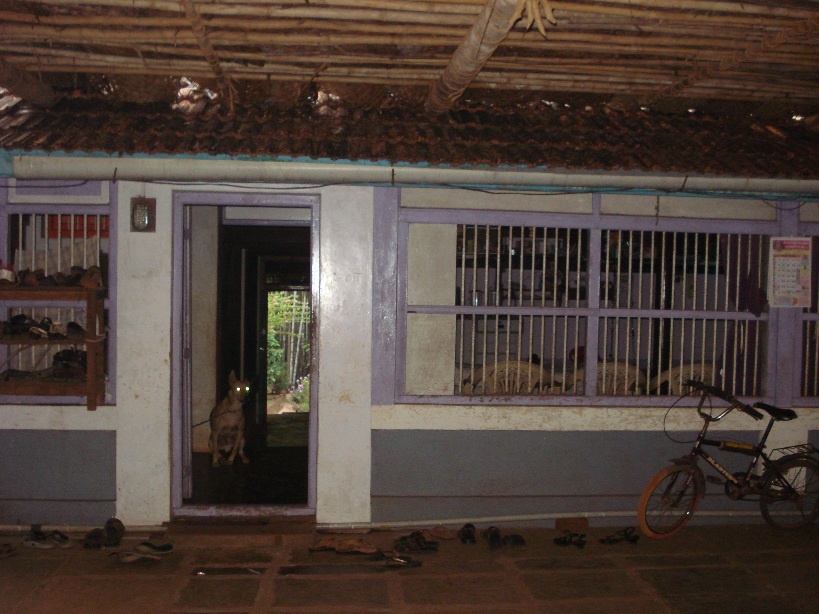 DSC03995.jpg