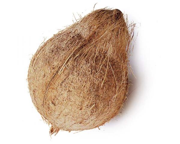 coconuts.jpeg