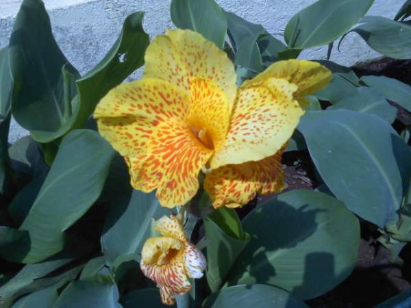 DSC0000120.jpg