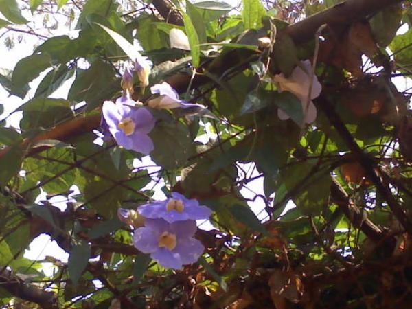 DSC0000133.jpg