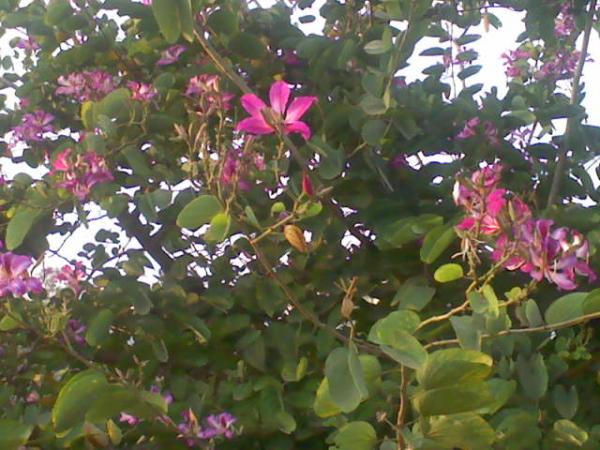 DSC0000310.jpg
