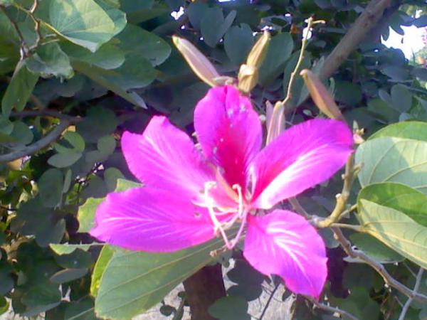 DSC0000311.jpg