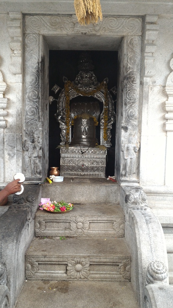 Tal kaveri.jpg
