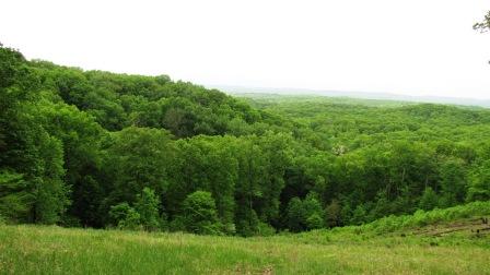 IMG_1186.JPG