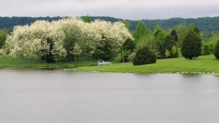 IMG_1256.JPG