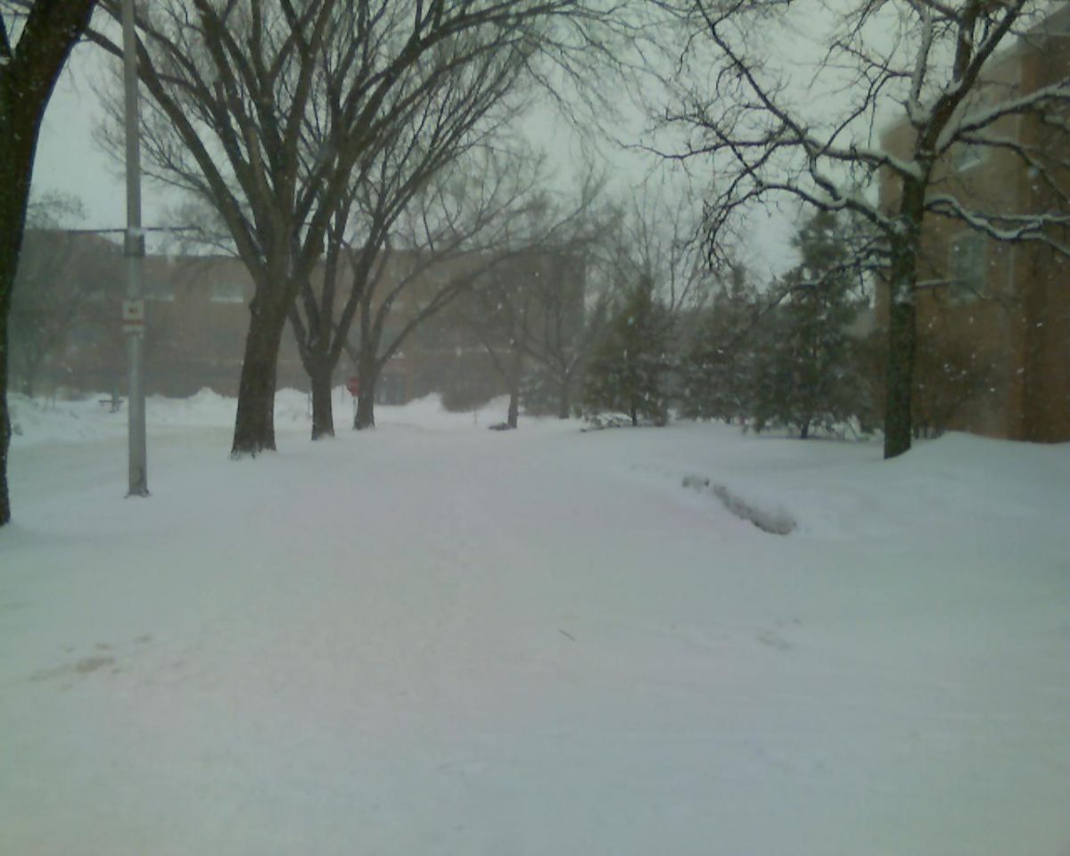 NDSU_Snow.jpg