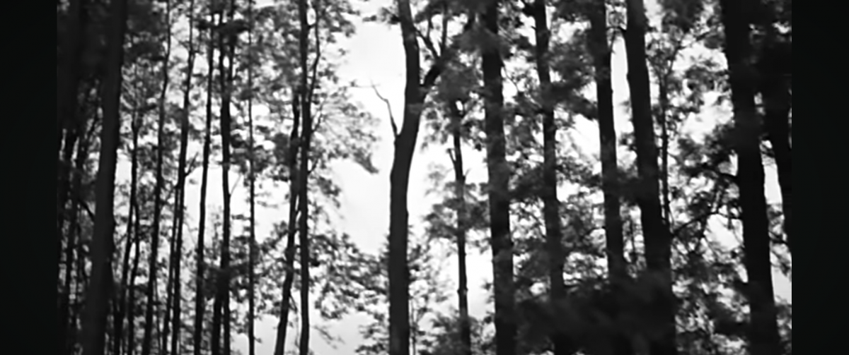 Screenshot_20231220-131202.png