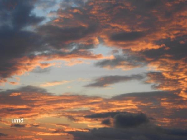 Copy of 2014-DIGICAM 172.jpg