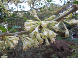 DSCN0425.JPG