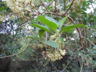 DSCN0429.JPG