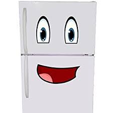 RUNMESHCHA FRIDGE.jpeg