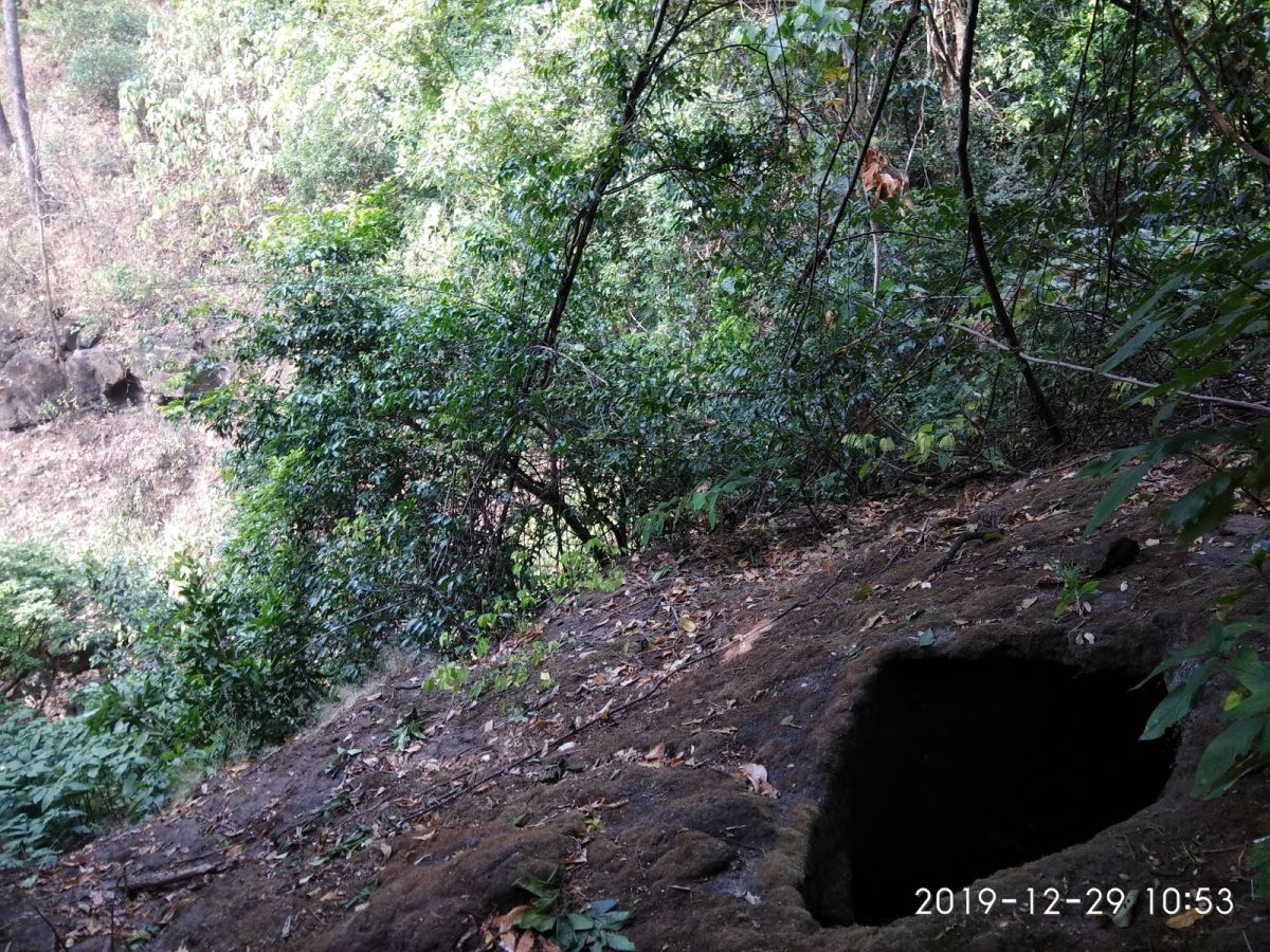 IMG_20191229_105316.jpg