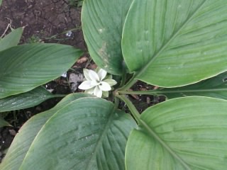 Photo0111.jpg