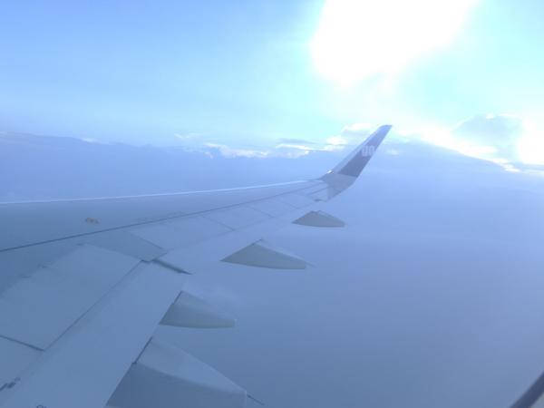 1--2014_0.JPG