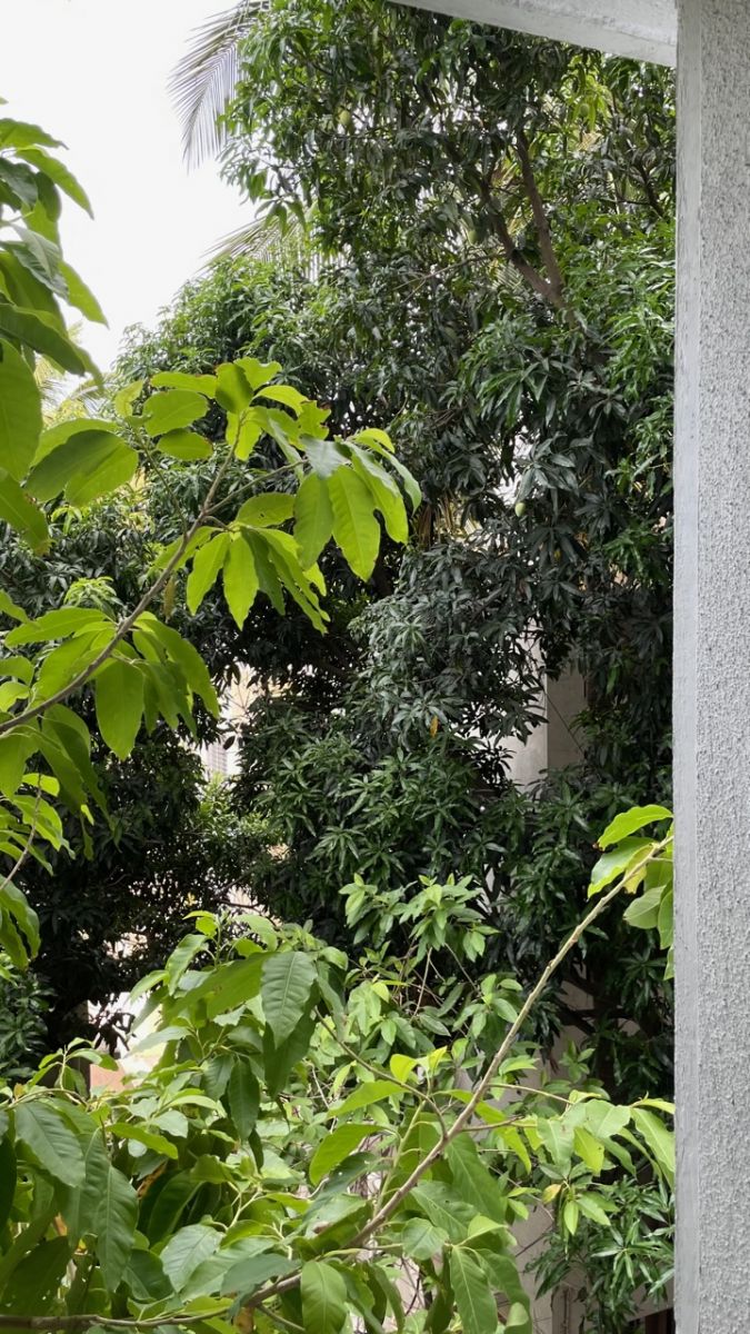 IMG_1435.jpeg