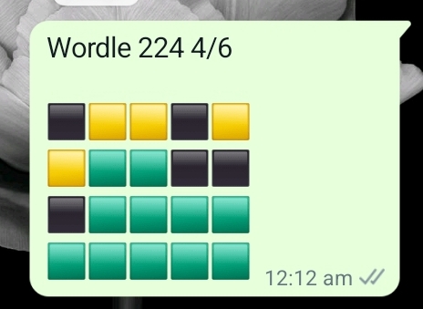 Screenshot_20220129-001322_WhatsApp.jpg