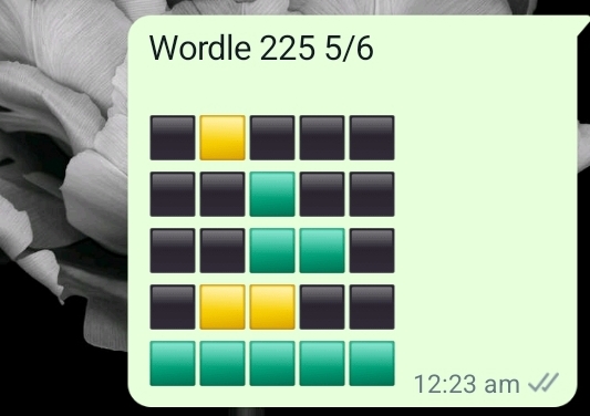 Screenshot_20220130-002404_WhatsApp.jpg