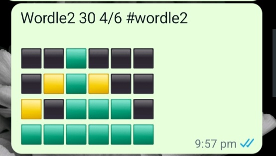 Screenshot_20220203-204518_WhatsApp.jpg