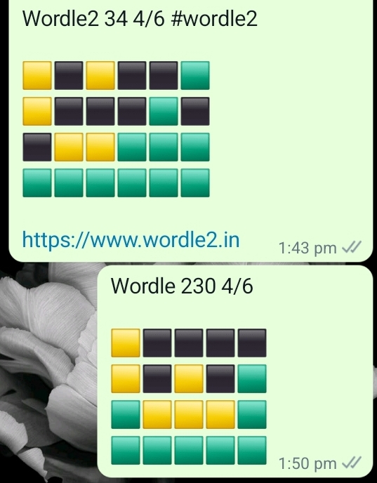 Screenshot_20220204-135315_WhatsApp.jpg