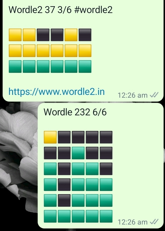 Screenshot_20220206-002733_WhatsApp.jpg