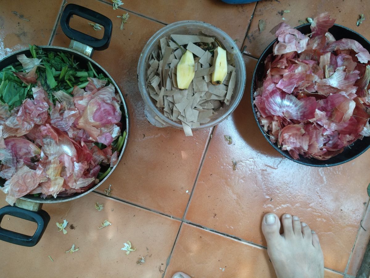 IMG_20200615_101740.jpg