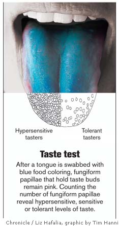 tongue-buds-schematic.jpg