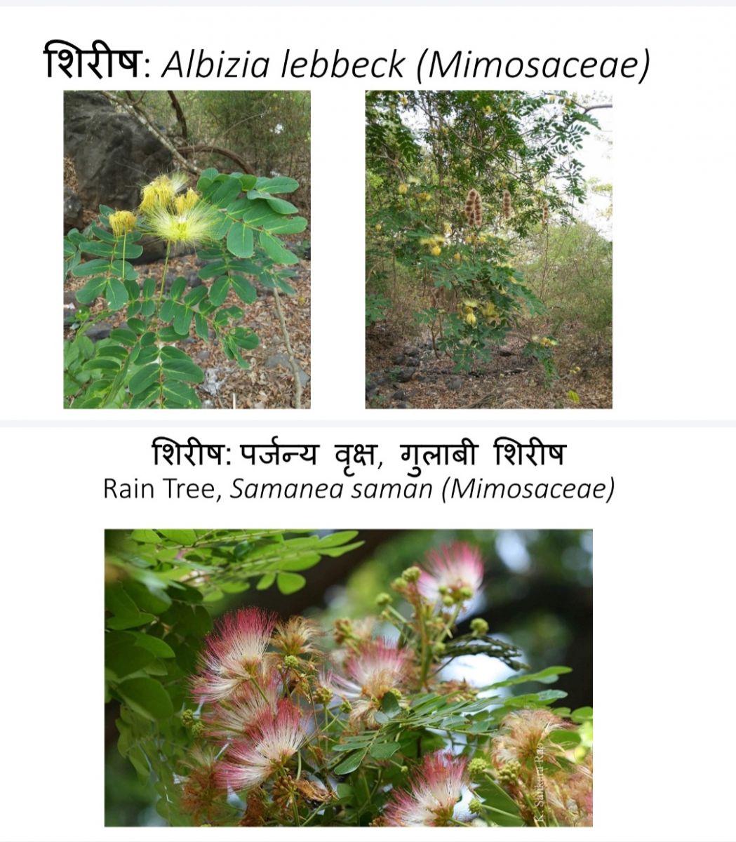 Screenshot_20250325_074039_File Manager.jpg