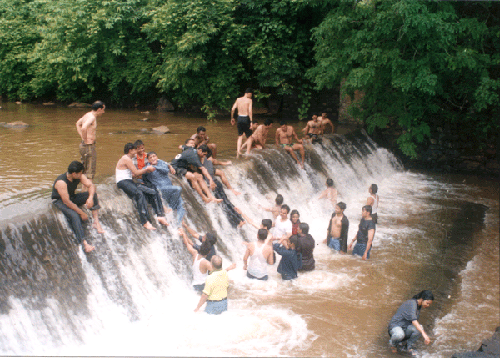 waterfall[1].gif