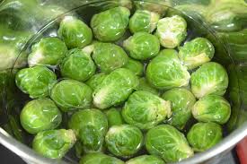 brussels sprout.jpg