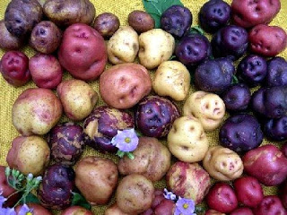 peruvian jambhale potato.jpg