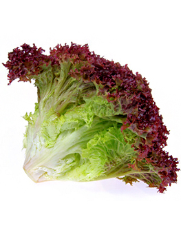 red lettuce.jpg