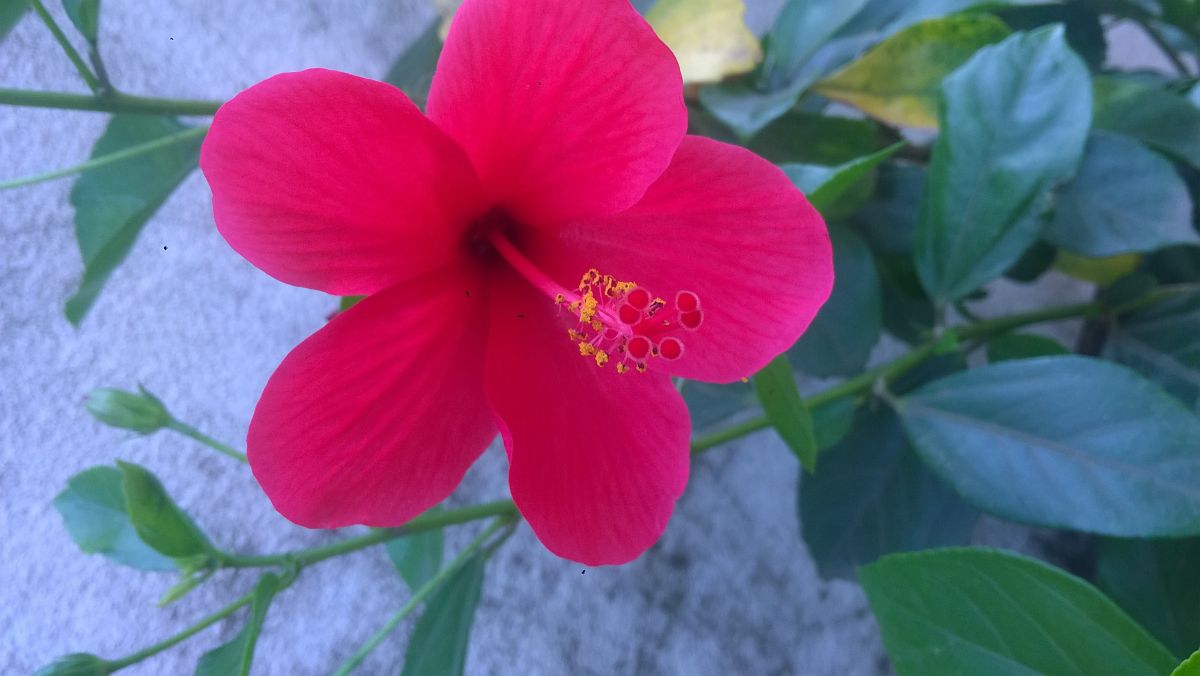 WP_20170816_08_01_22_Pro.jpg