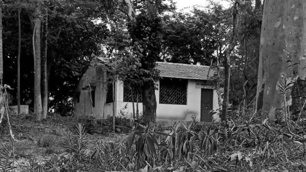 Foresthouse BW.jpg