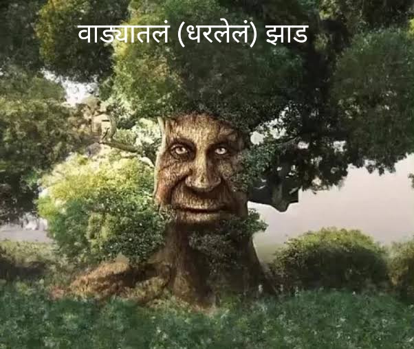 images (7)_0.jpeg