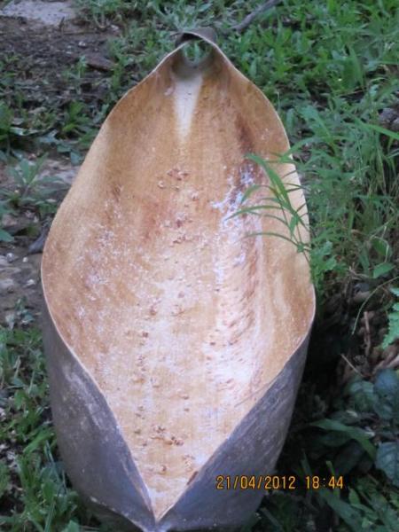 Karamale01.jpg