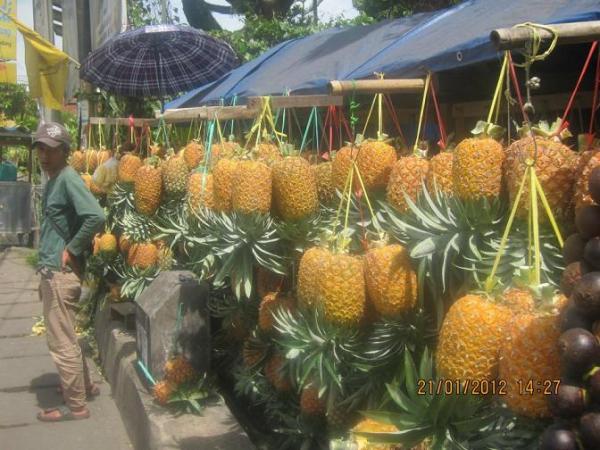 ananas.jpg