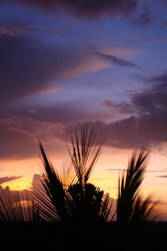 IMG_7800.jpg