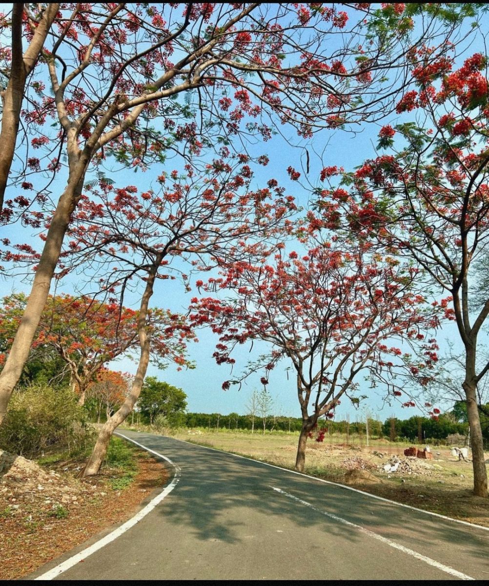 Screenshot_2025-03-15-14-17-22-511-edit_com.miui_.gallery.jpg